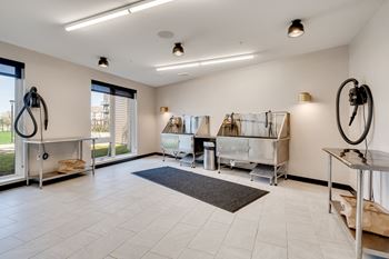 Pet spa